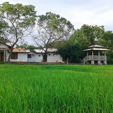Willpattu Wild Watch 호텔 Habawewa 외부 사진
